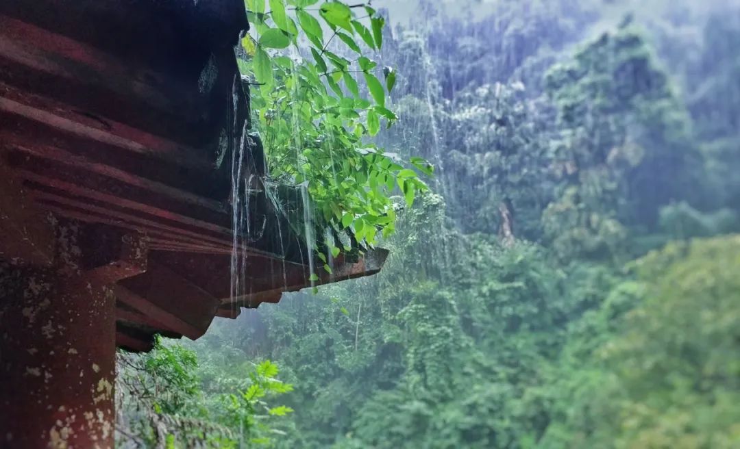 有关雨的诗句唯美（形容微雨的唯美诗词） 第15张