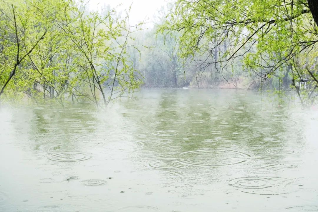 有关雨的诗句唯美（形容微雨的唯美诗词） 第17张