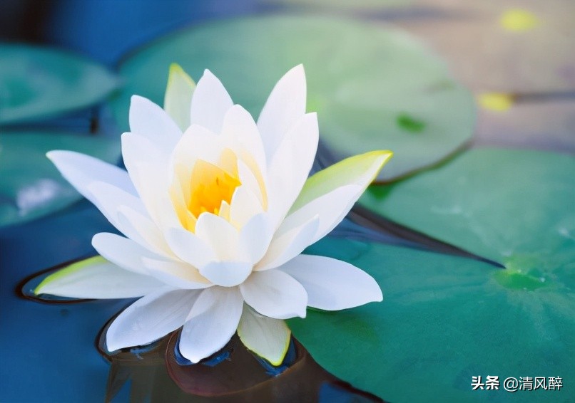 六一儿童节说说（六一适合发的说说短句） 第5张