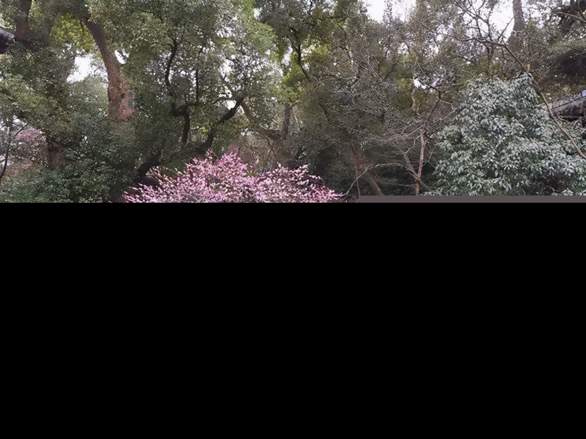 关于杭州的诗句有哪些（描写杭州的经典诗句） 第5张