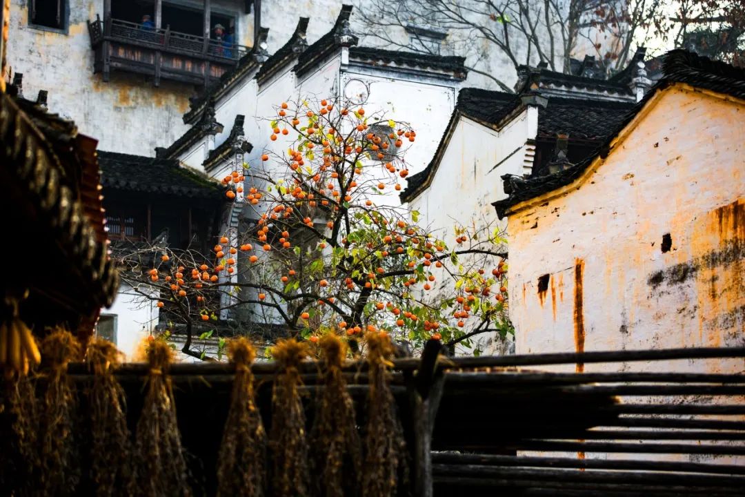 关于秋分的诗句有哪些（秋分的优美诗词） 第7张