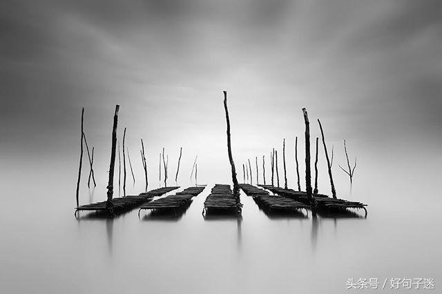 纠结的句子说说心情（人生抉择的经典句子） 第11张
