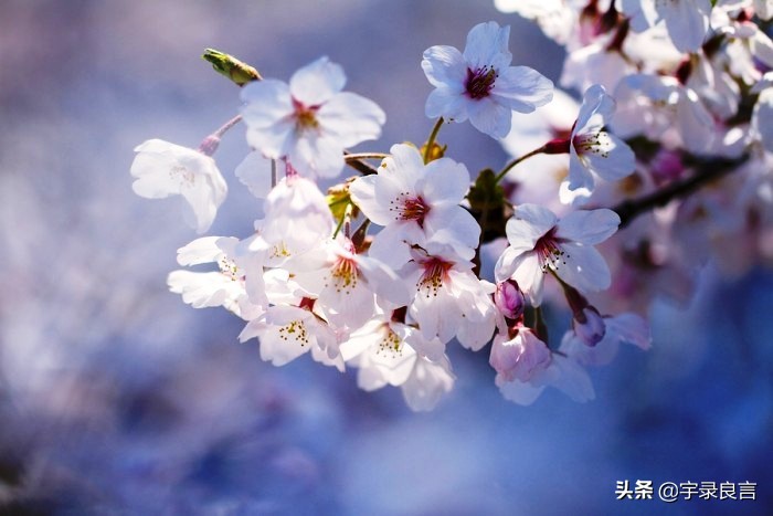 母爱的句子唯美短句（妈妈对孩子的简短寄语） 第5张
