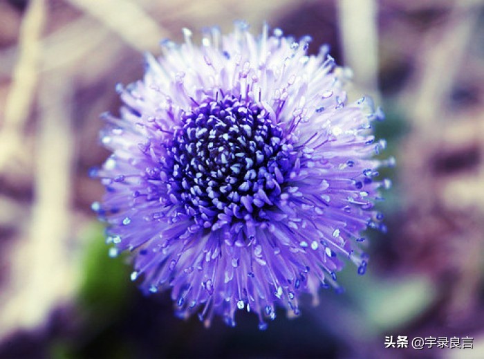 母爱的句子唯美短句（妈妈对孩子的简短寄语） 第7张