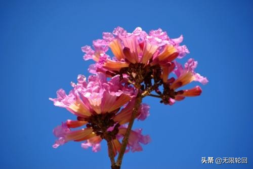 二月诗句经典诗词（二月初春美景的诗句） 第1张