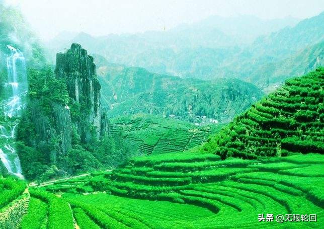二月诗句经典诗词（二月初春美景的诗句） 第11张