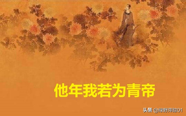 黄巢咏菊诗赏析（咏菊最好的诗句） 第5张