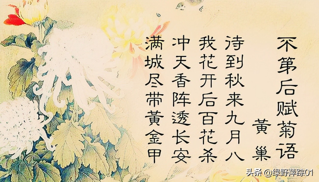 黄巢咏菊诗赏析（咏菊最好的诗句） 第7张
