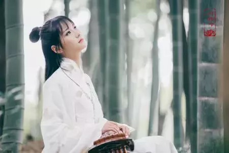 柳永诗词最佳十首（生僻却美到爆的古诗词） 第3张