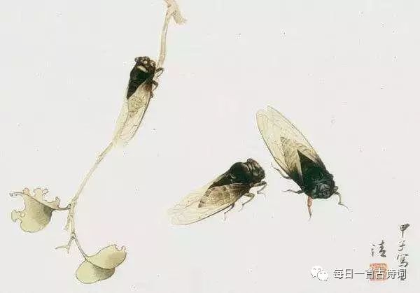 在狱咏蝉骆宾王翻译及注释（在狱咏蝉骆宾王赏析） 第1张
