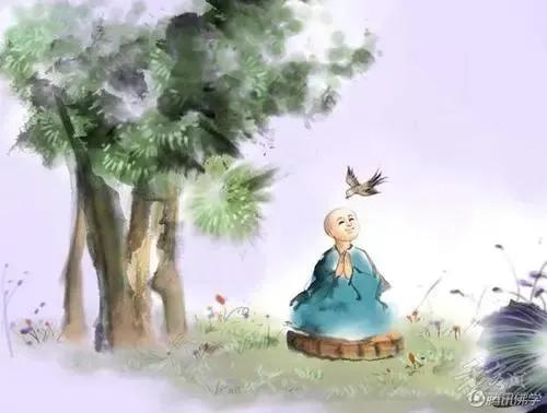 佛家经典禅语因果（一句禅语道尽人生） 第1张