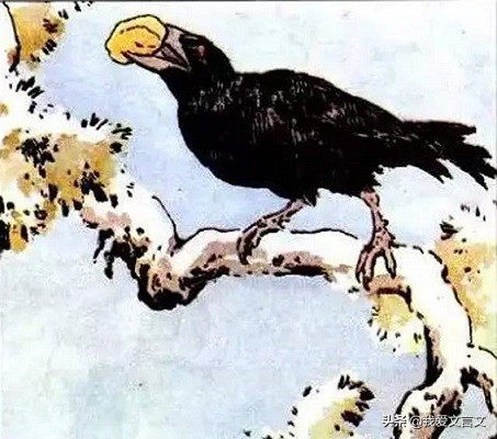 乌鸦喜谀告诉我们什么道理（乌鸦喜谀的启示） 第1张