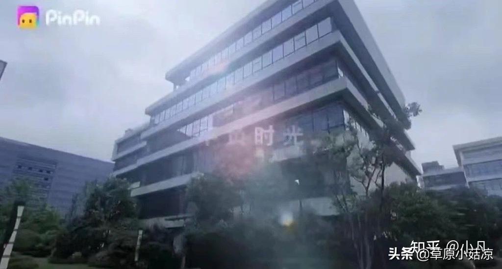 拼拼有礼是什么？靠不靠谱？一文带你去了解 第19张