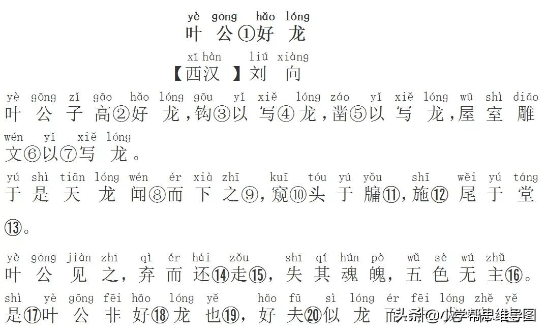 叶公好龙文言文翻译及注释（叶公好龙的寓意和道理） 第1张