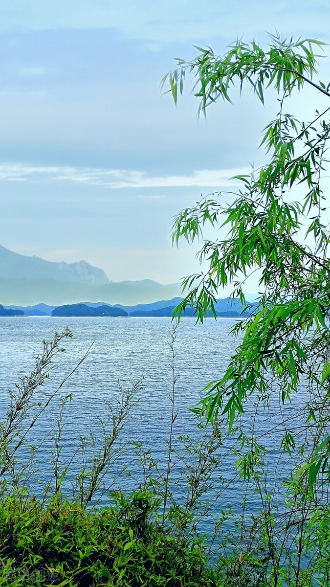 竹枝词二首其一刘禹锡翻译（竹枝词二首其一翻译） 第1张