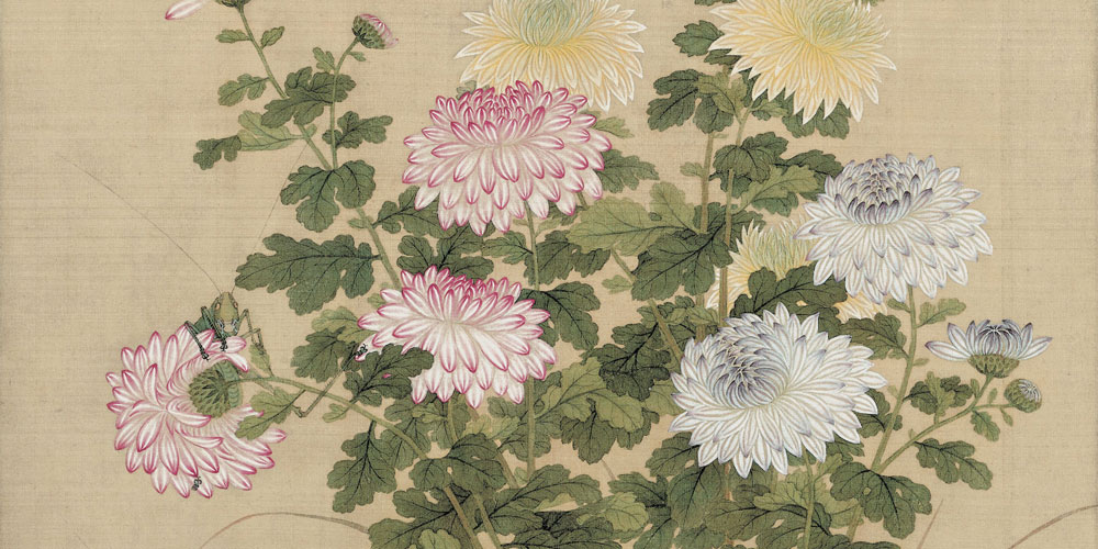菊花元稹古诗赏析（古诗菊花唐元稹拼音版） 第1张