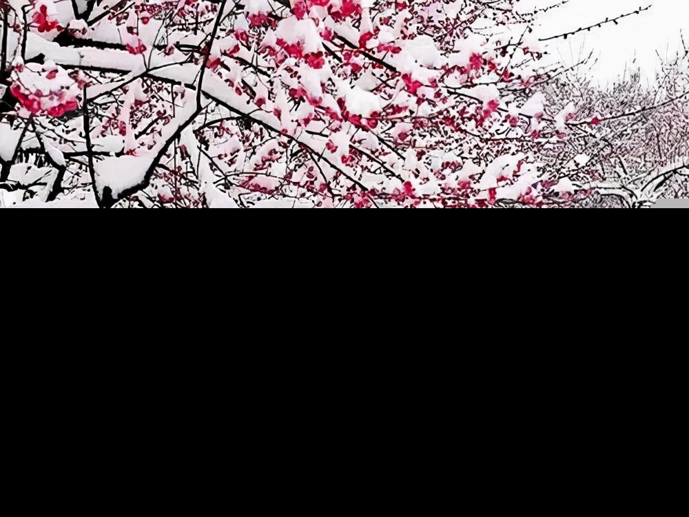 赞美雪的句子简短（关于下雪的诗词欣赏） 第7张