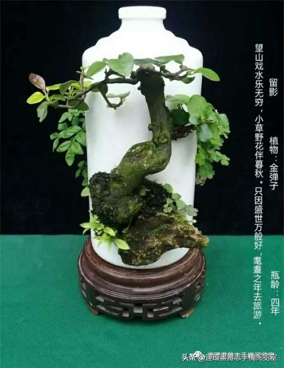 《函》的写作及实训 第5张