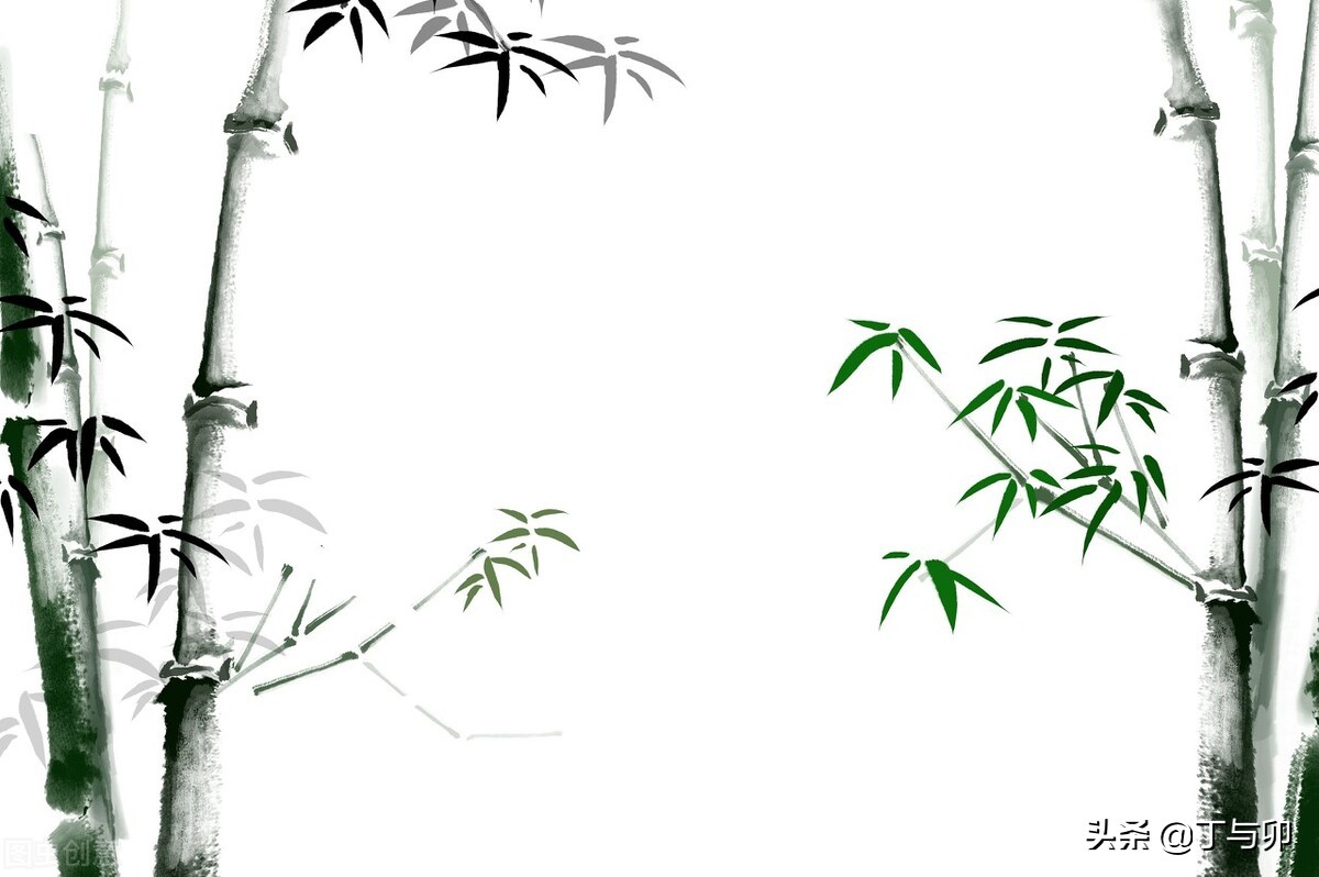 形容竹子的成语有哪些（形容竹子的成语） 第3张