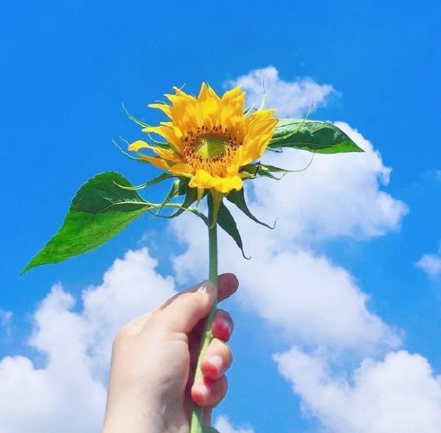 非主流经典句子大全（回不到从前的伤感句子） 第13张