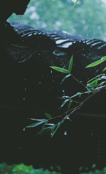 形容暴雨的句子有哪些（下雨天的诗句优美句子） 第29张