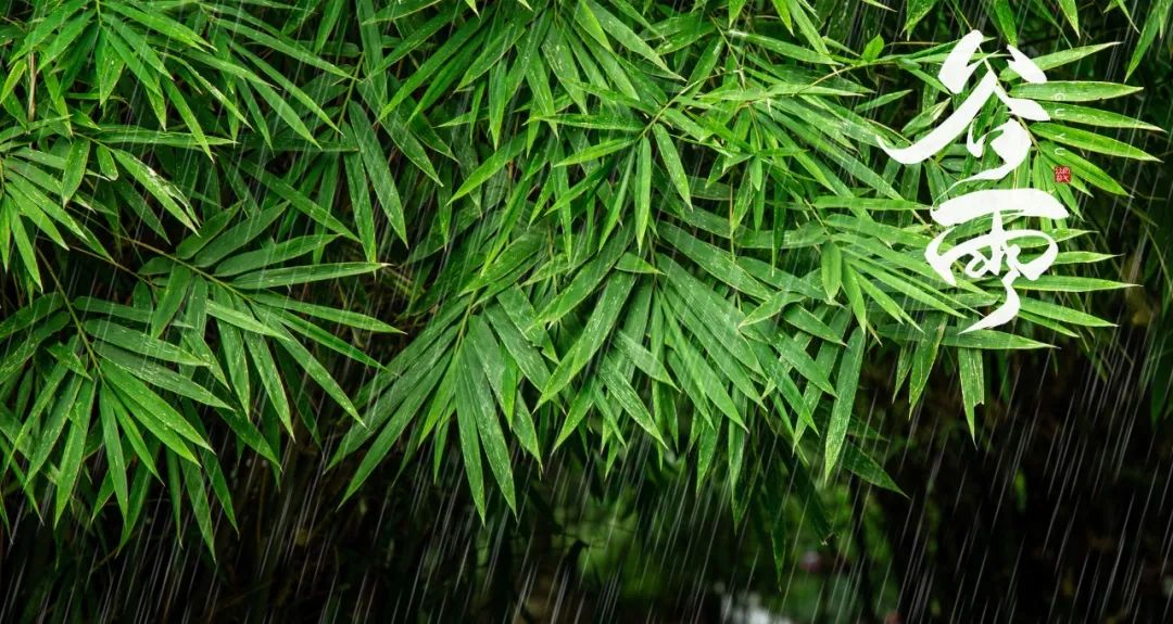写谷雨的古诗有什么（赞美谷雨的名句欣赏） 第11张