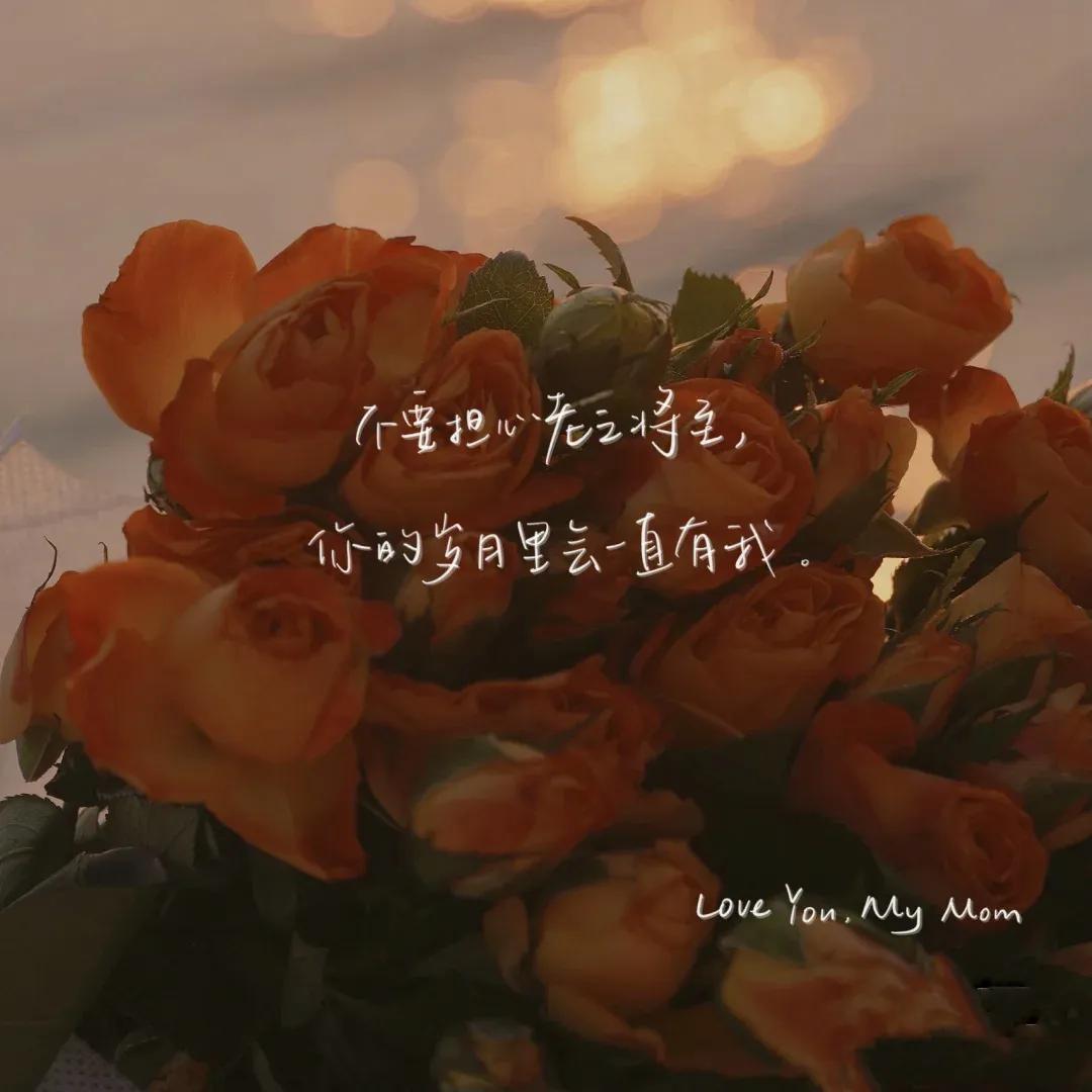 母亲节语录简短唯美（母亲节文案短句干净） 第3张
