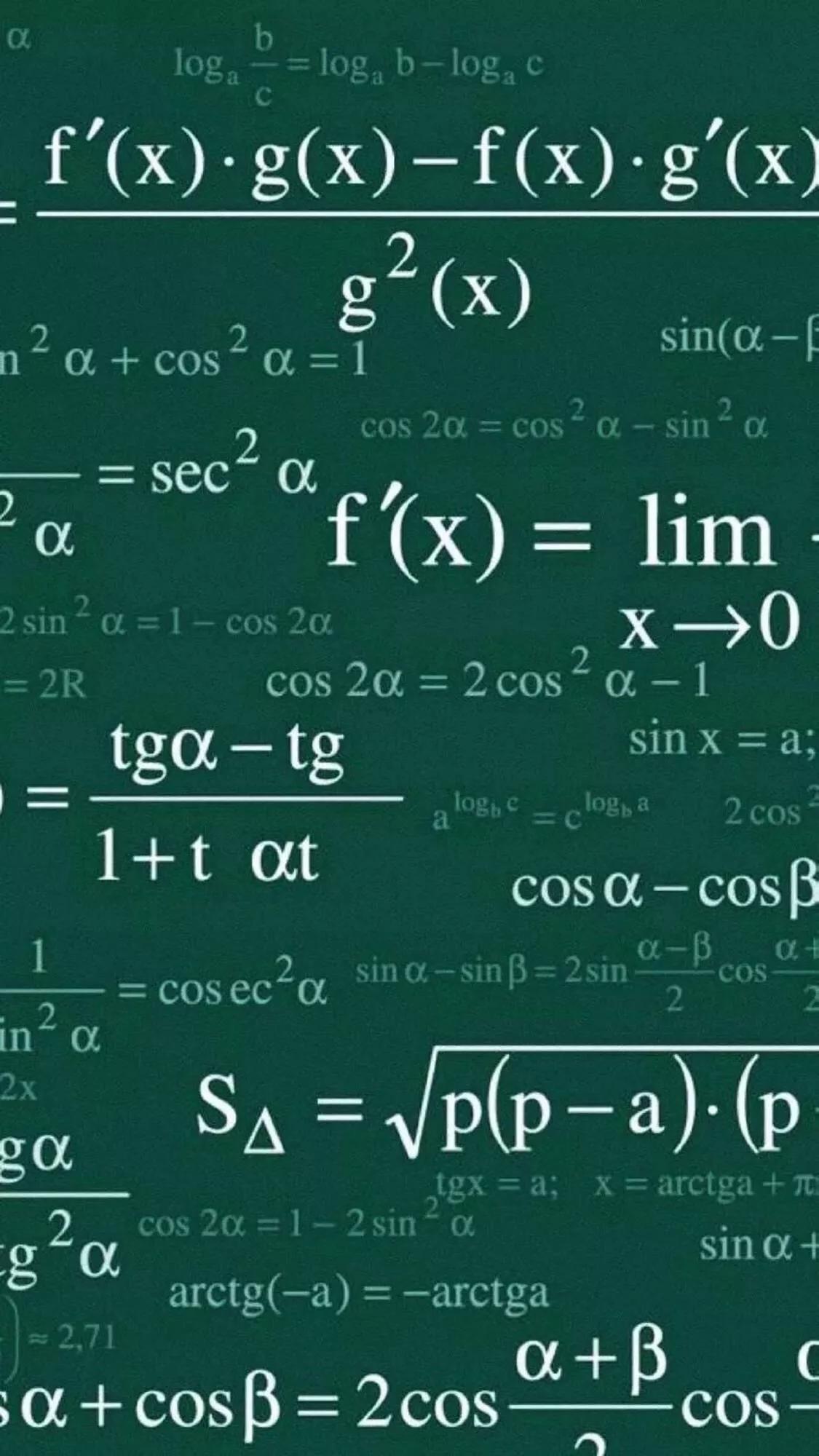 数学名人名言大全摘抄（数学的名人名言分享） 第5张