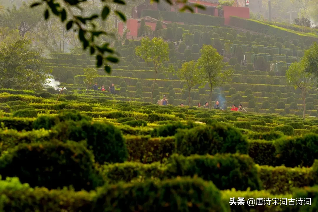 寒食节诗句经典古诗（寒食千古名句） 第7张