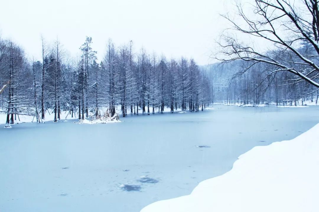 关于冬天的古诗有哪些（描写冬天景色的诗句欣赏） 第1张