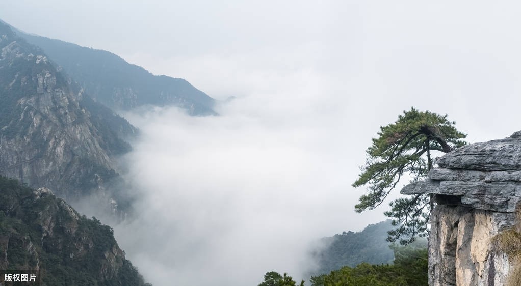 晚泊浔阳望庐山翻译及赏析（晚泊浔阳望庐山阅读理解） 第5张