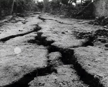 如果这些专家听了他的话，唐山大地震就不会死那么多人了 第3张