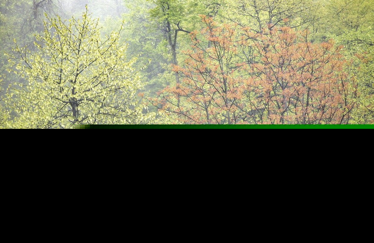 描写雨的成语有哪些（雨的四字成语大全） 第13张