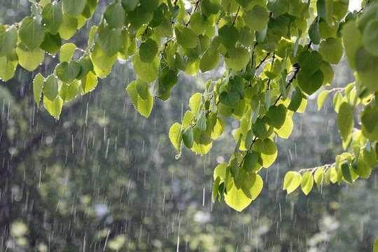 描写雨的成语有哪些（雨的四字成语大全） 第15张