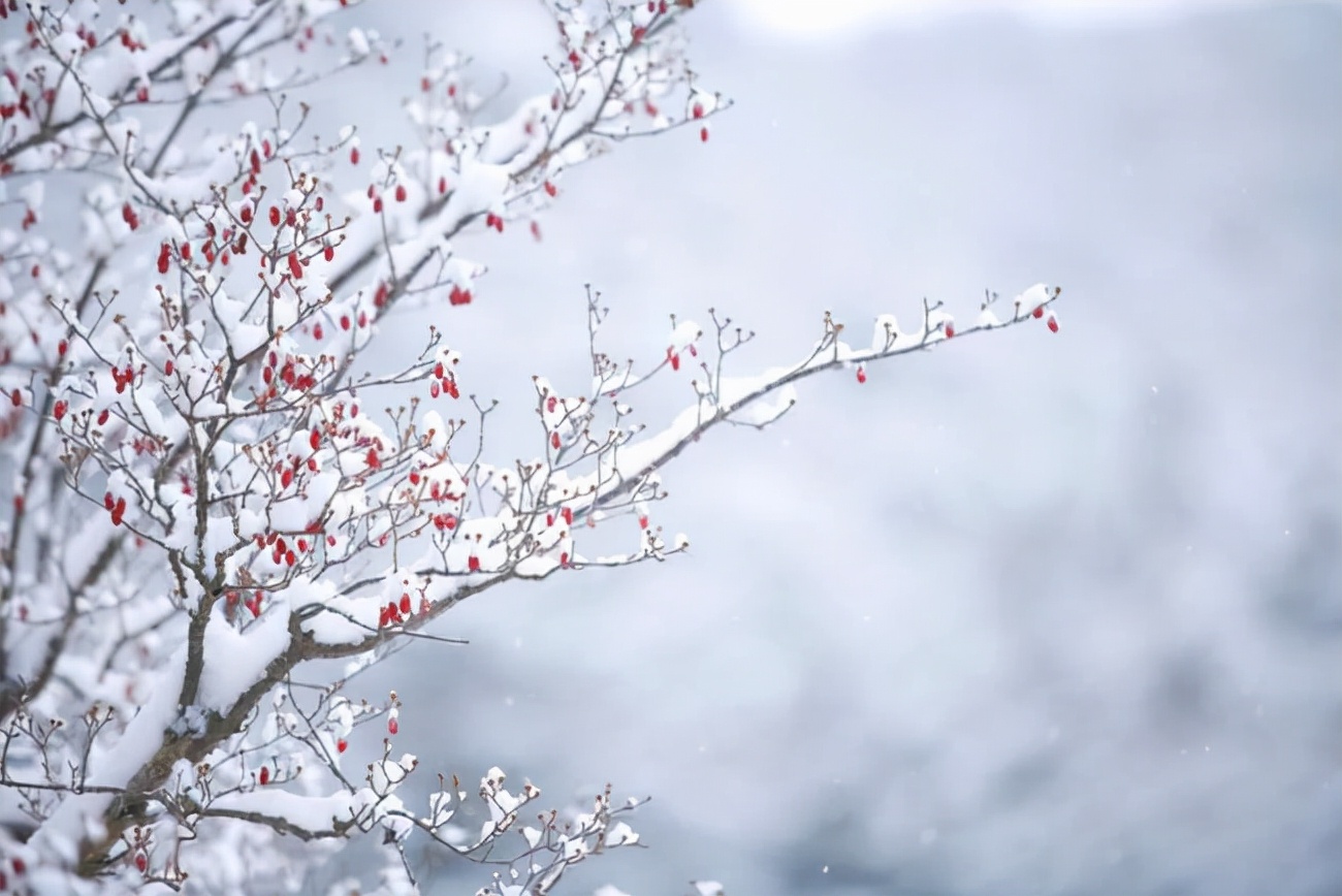 山中雪后翻译及赏析（山中雪后古诗注音版） 第9张