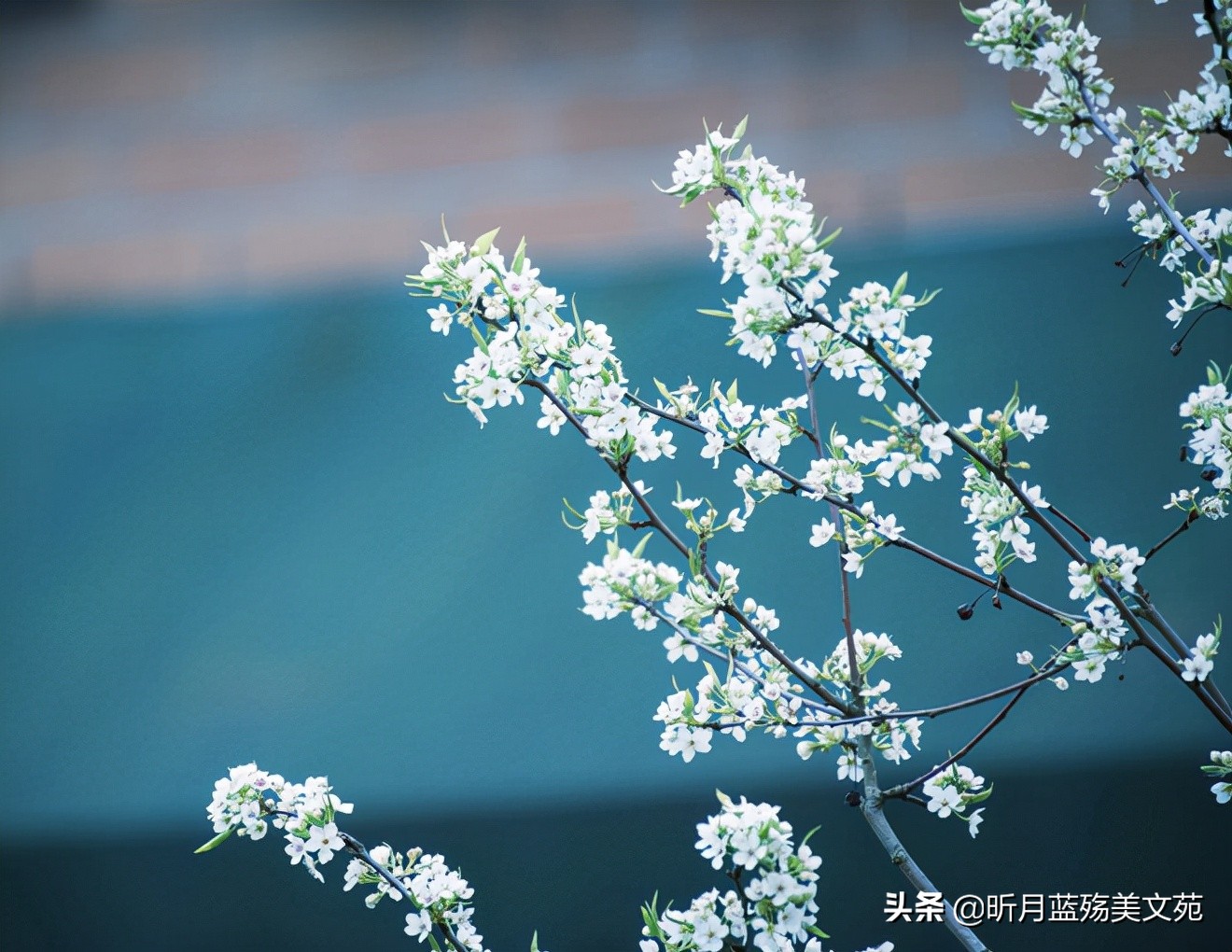 感谢遇见你的唯美句子（遇见你真好的暖心句子） 第5张