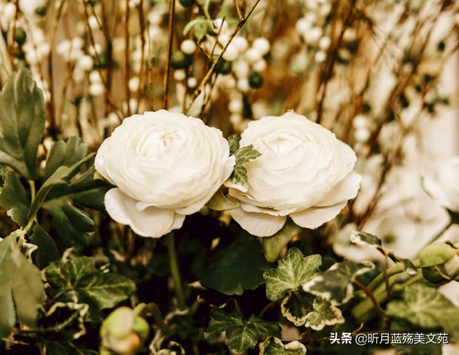 感谢遇见你的唯美句子（遇见你真好的暖心句子） 第7张