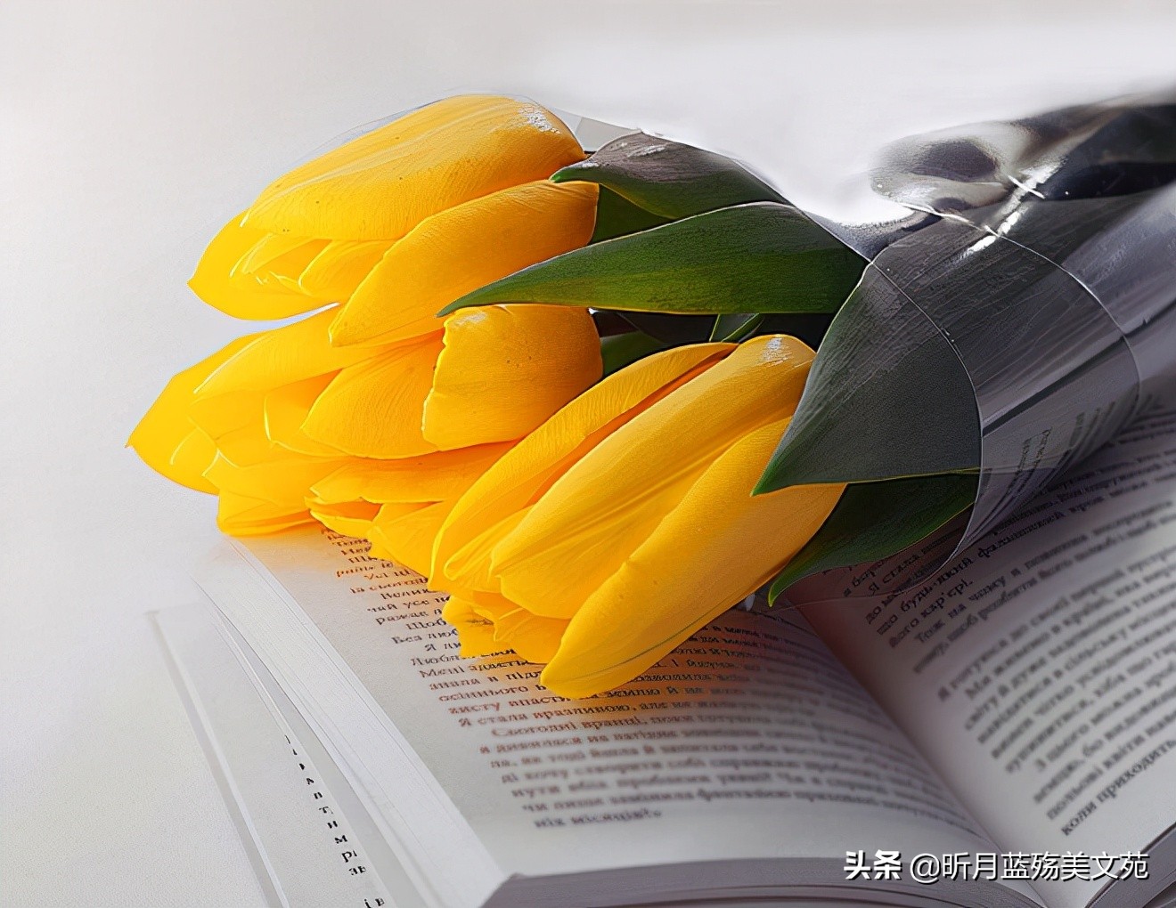 感谢遇见你的唯美句子（遇见你真好的暖心句子） 第9张