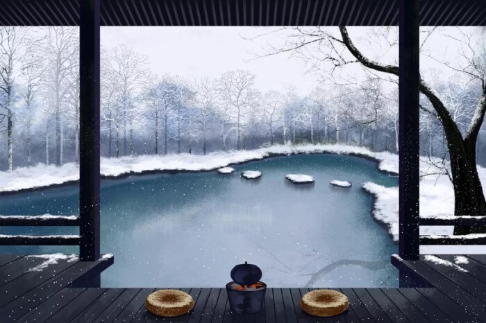 冬晚对雪忆胡居士家翻译（冬晚对雪忆胡居士家翻译阅读答案） 第7张