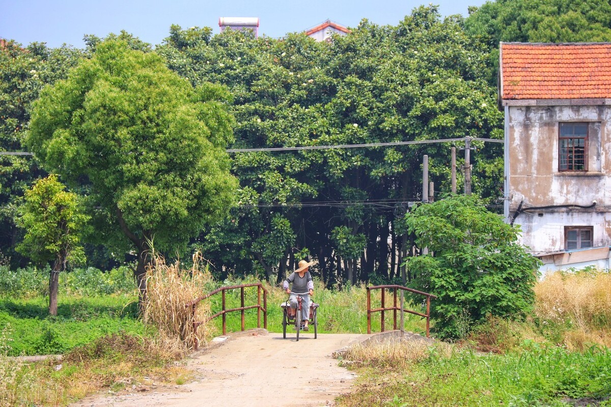 fdc09fb9-2b13-4a5f-b533-05d396f026c3 第1张