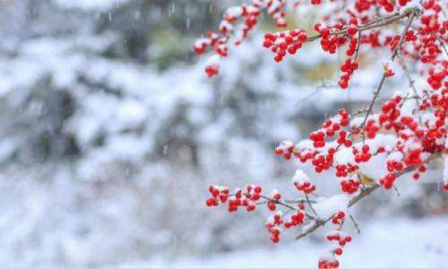 第一场雪的句子短句唯美（雪景句子唯美简短伤感） 第1张