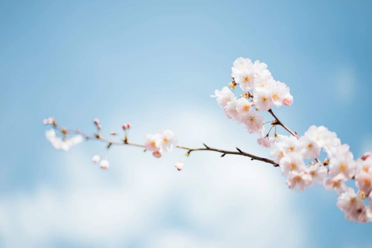 中华经典古诗词大全（中国最著名古诗词 ） 第3张