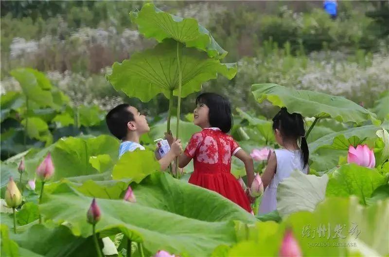 六一儿童节短诗歌（赞美六一的诗歌） 第3张