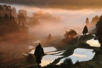 乡下风景的诗句有哪些（描写乡村田园景色的诗） 第1张
