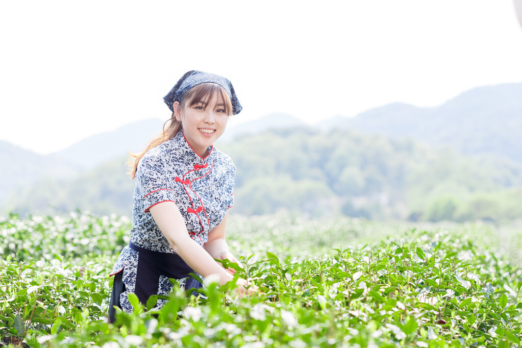 关于农业谚语有哪些（农业谚语大全分享） 第3张