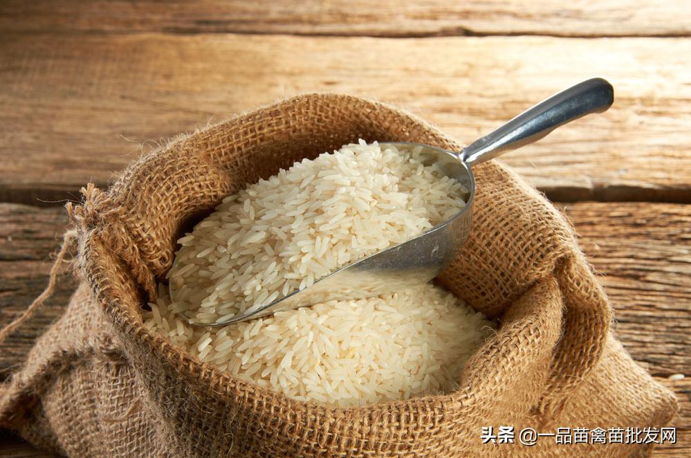 贩鸡生意怎么做才赚钱（鸡贩子一年能赚多少钱） 第9张