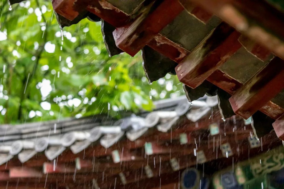 形容夏天的四字词语（赞美夏天的成语） 第21张