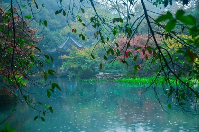 形容下雨的句子唯美（下雨的浪漫唯美句子） 第3张
