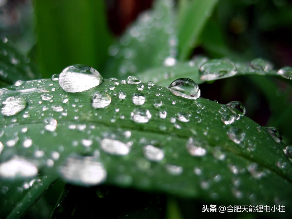 描写春雨的诗句有哪些（描写春天的雨的诗句） 第1张