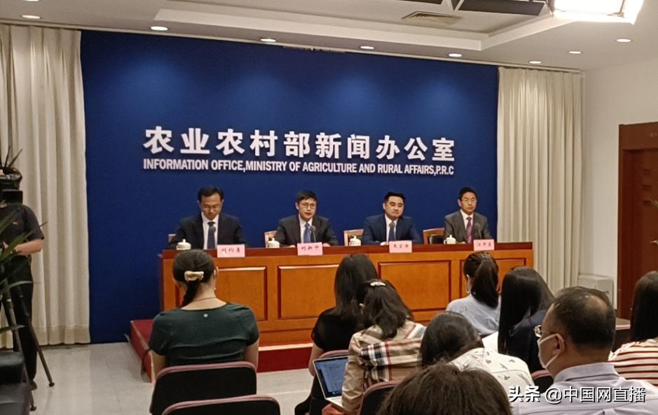 渔民的收入来源填什么（渔民收入怎么样） 第1张